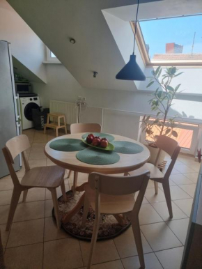Rasos apartamentai senamiestyje